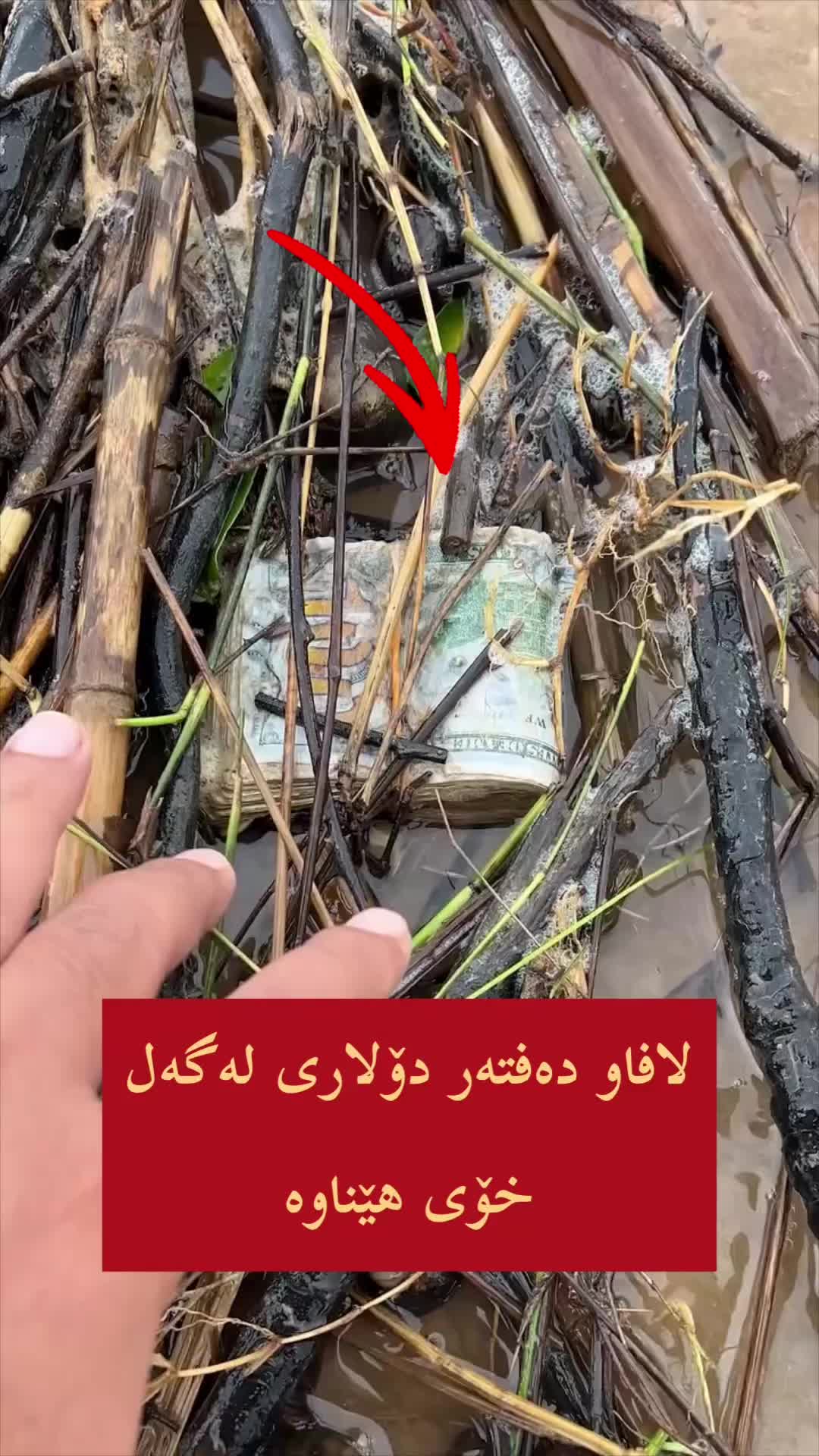 @🎤📺 𓆩جیگر هەركی𓆪 Journalist