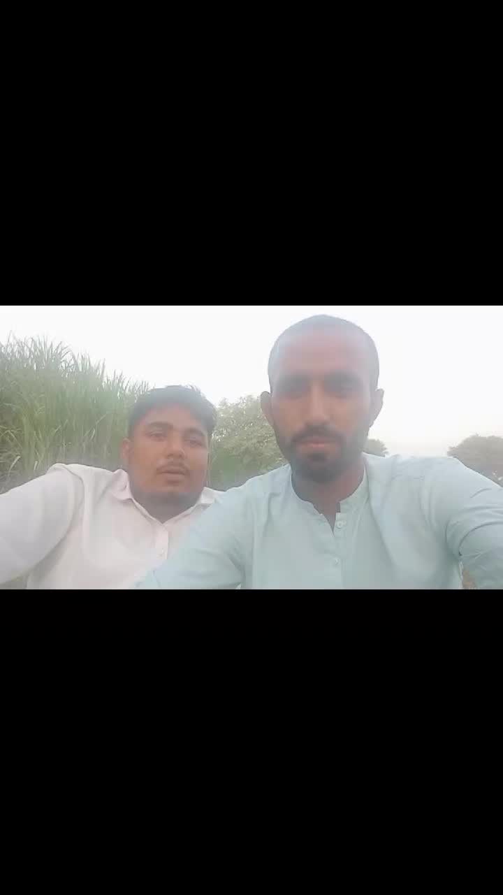 @salmanbrand33
