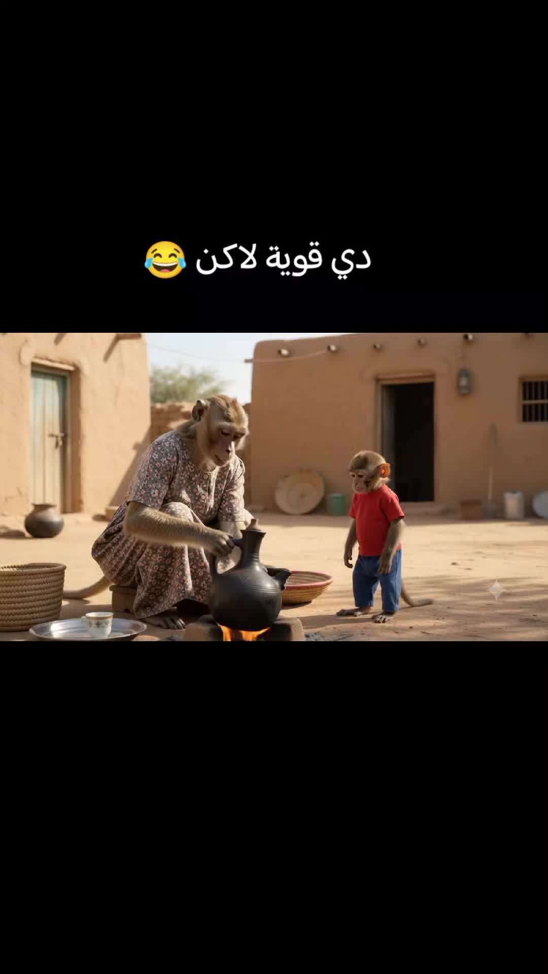 @💥 rekool🦦