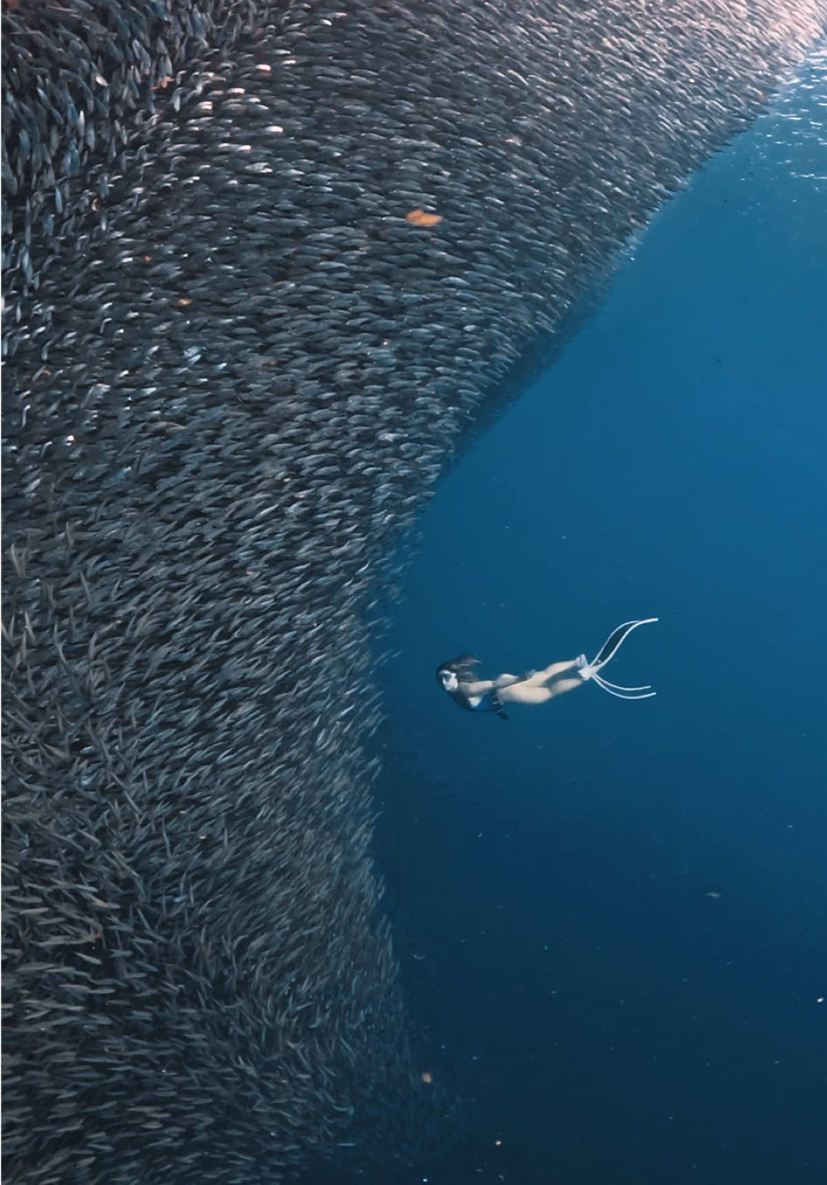 @divewith_eyJ
