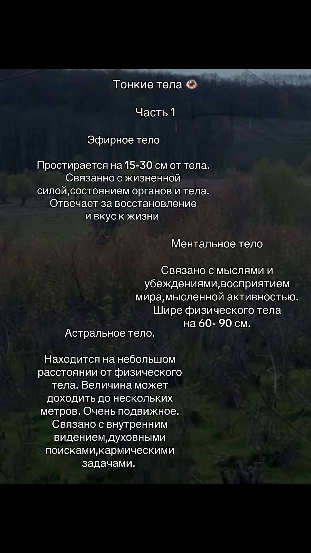 @🐉👁️ Гримуар Роуз 🩻🔮