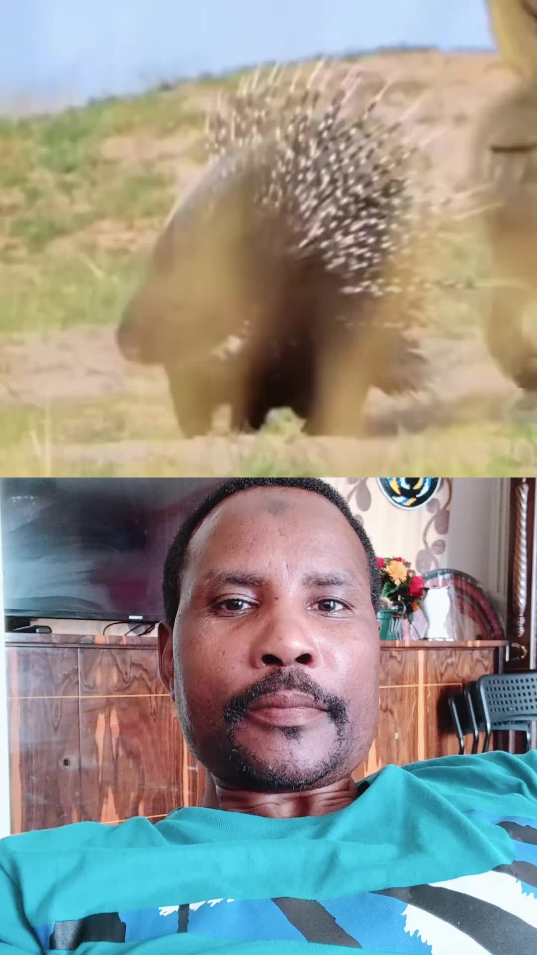 @moubarak