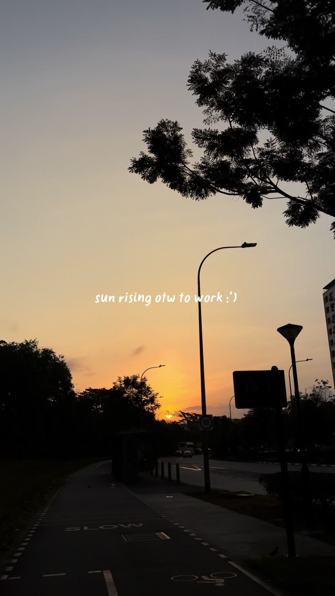 @tiff yau
