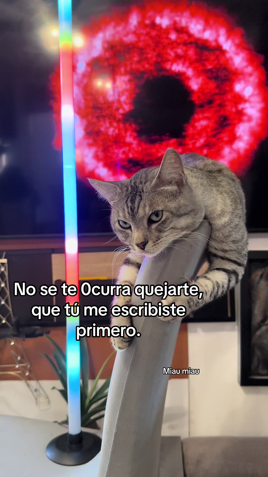 @Rodrigo and Watermelon the cat