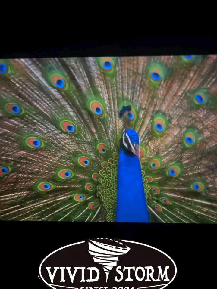 @Hidden home cinema idea