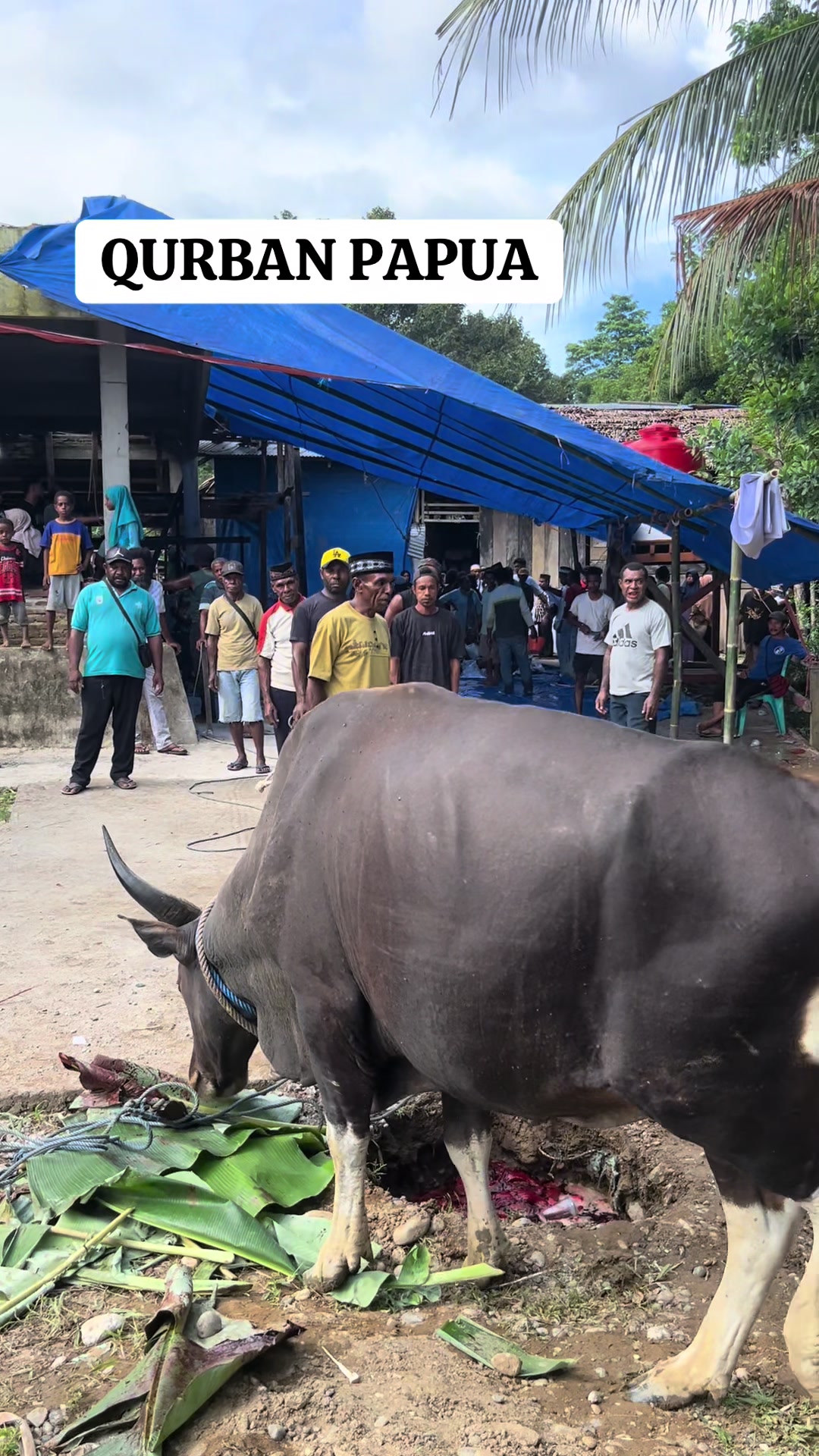 @Muslim papua II