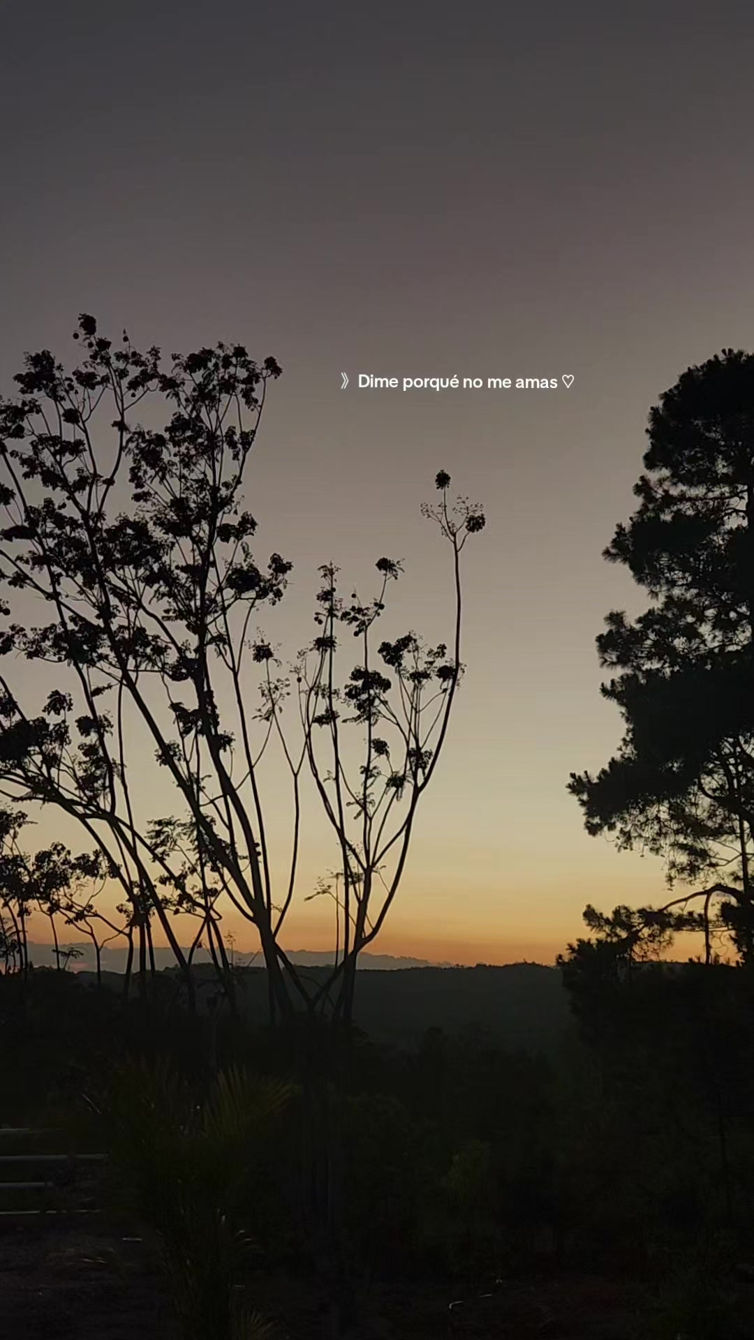 @✓ Cazando Atardecer_ 🌄☀️❤️🔥
