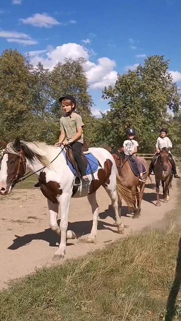 @КК "Фриз"🏇