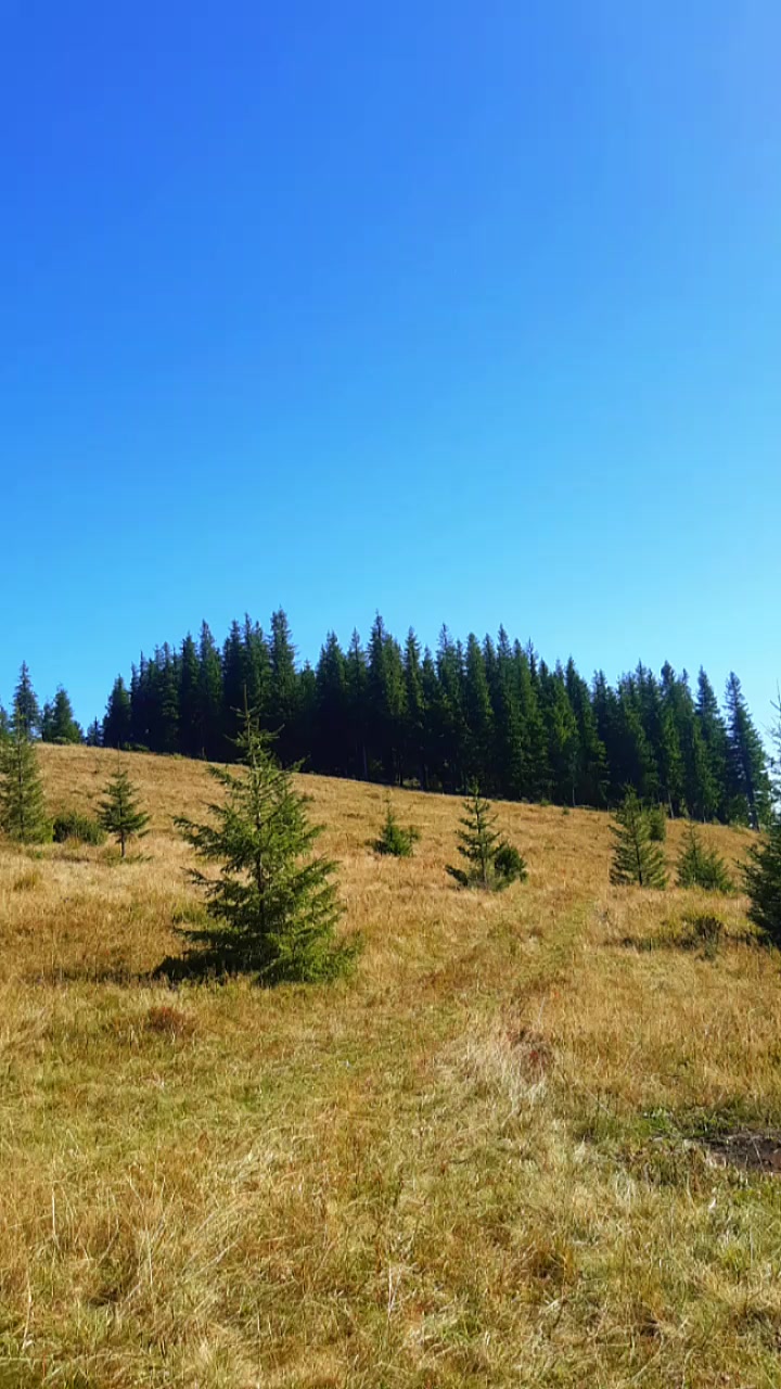 @Roman Bovysh