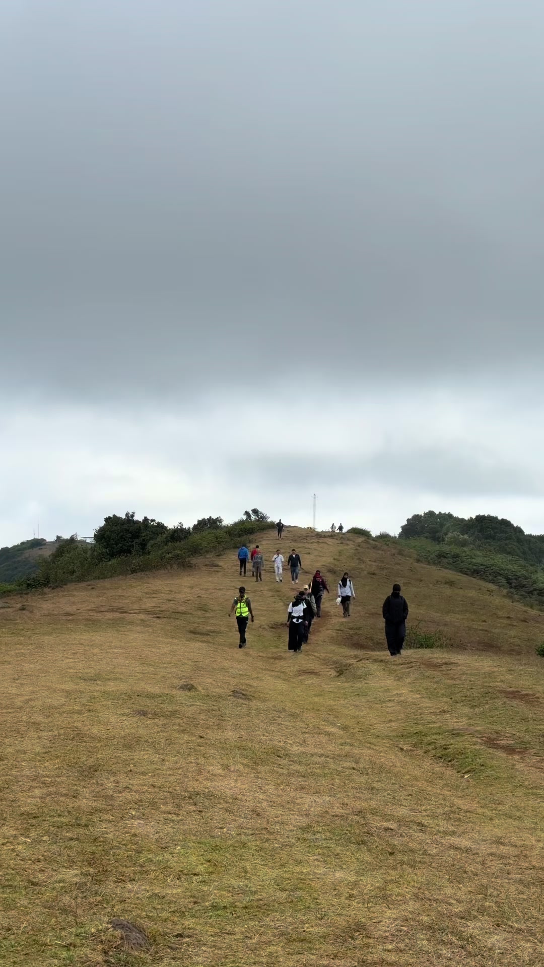 @HikinG_GiantS