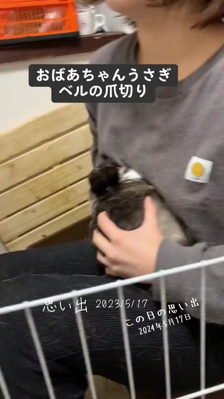 @和風wafu✨🐰🐰🐰🐰👿💕