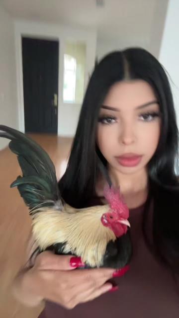 @Onlybritfanss