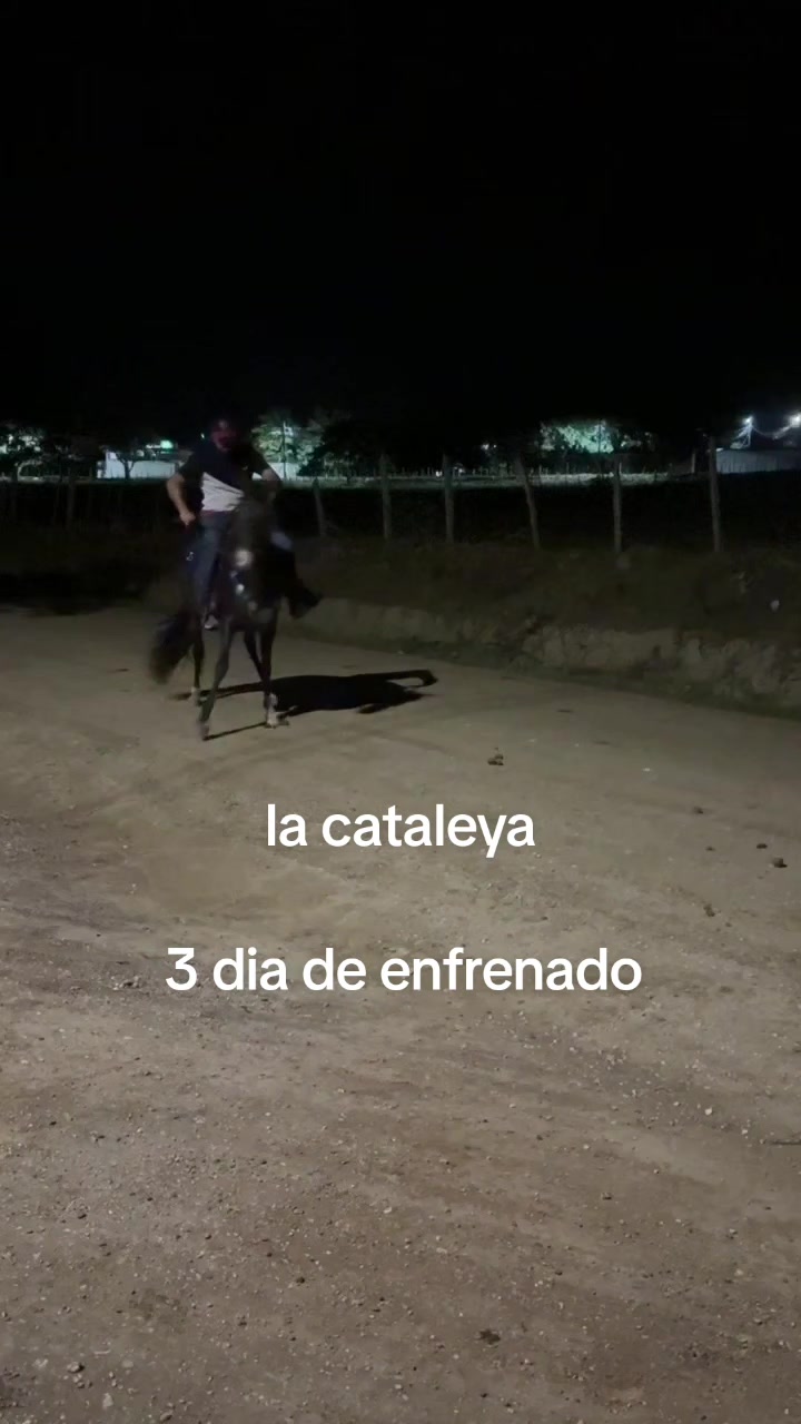 @Jose carlos sierra 😎