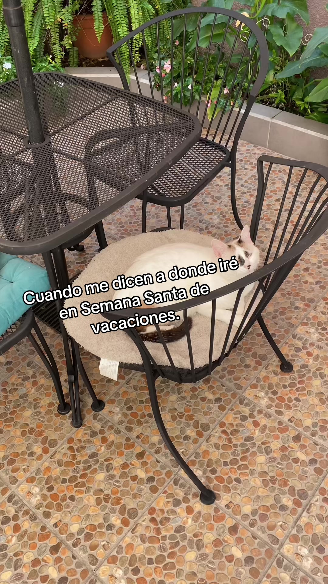 @yamisori