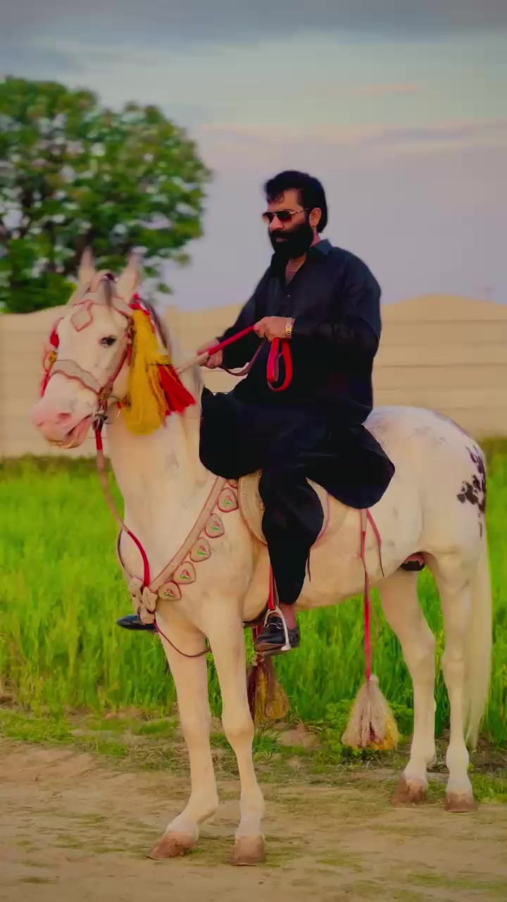 @junaid_Bhatti