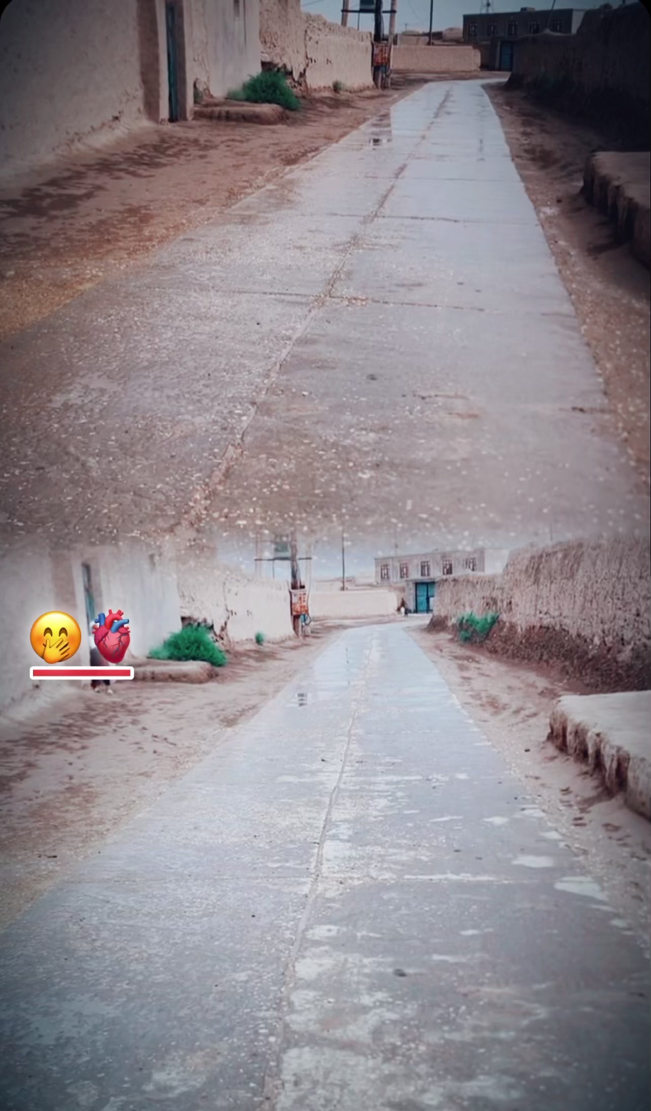 @hamidullah_hamini_511
