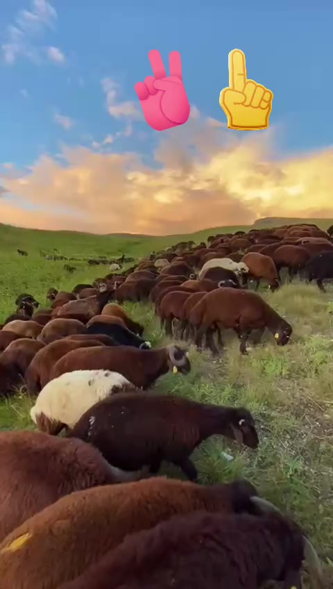 @eyyüp. beki. 🥀🥀🥀🥀