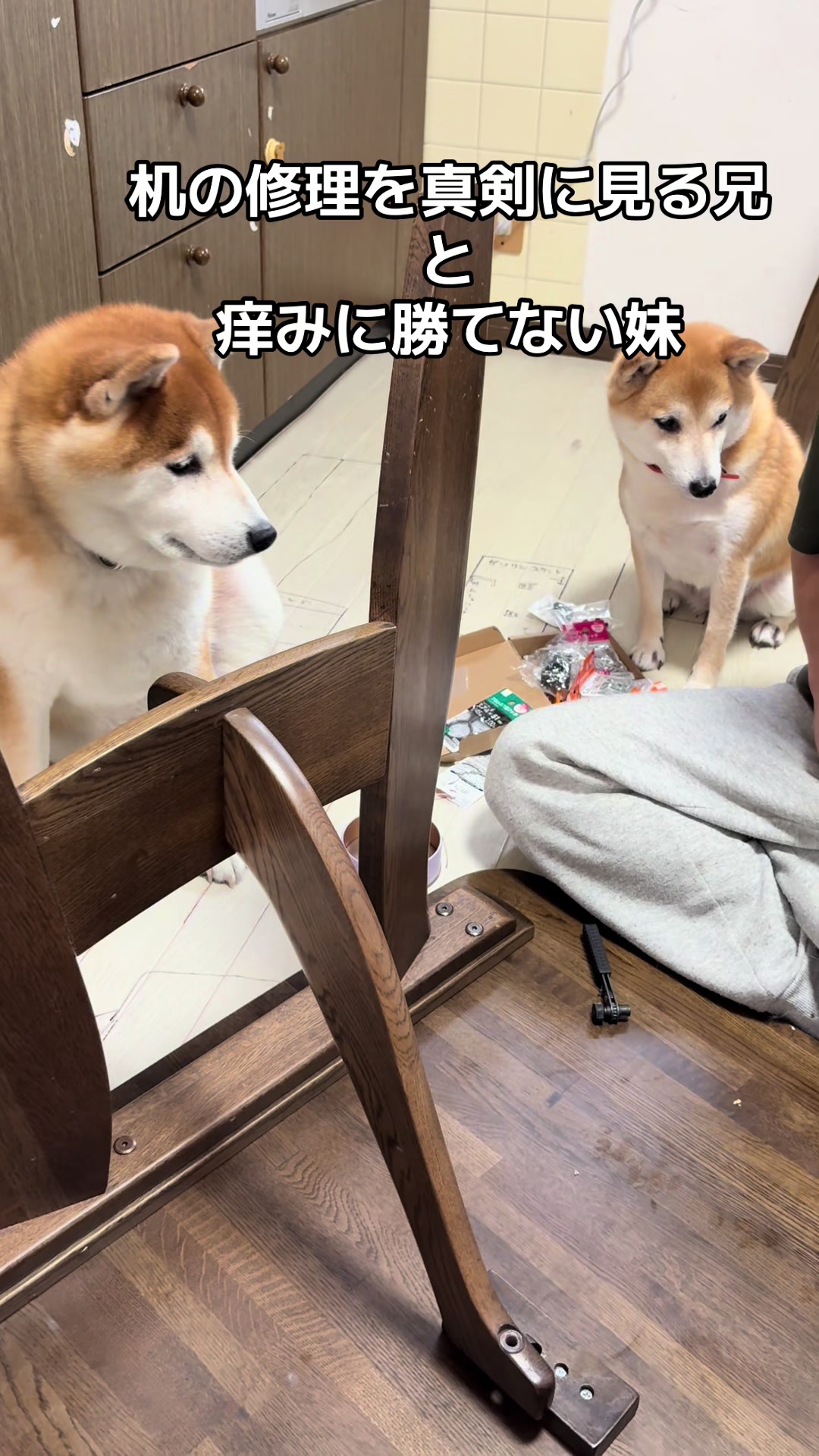 @nana0209 🪽🥴