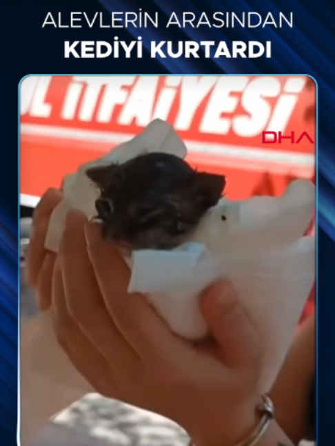 @Takvim