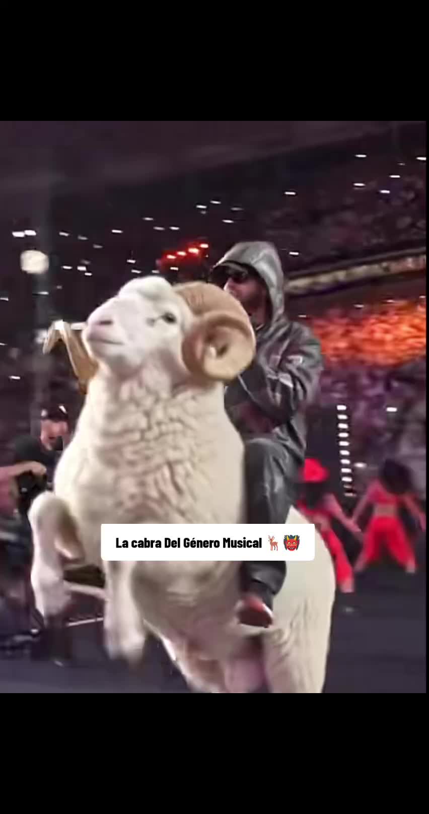 @La Real hasta la muerte tv