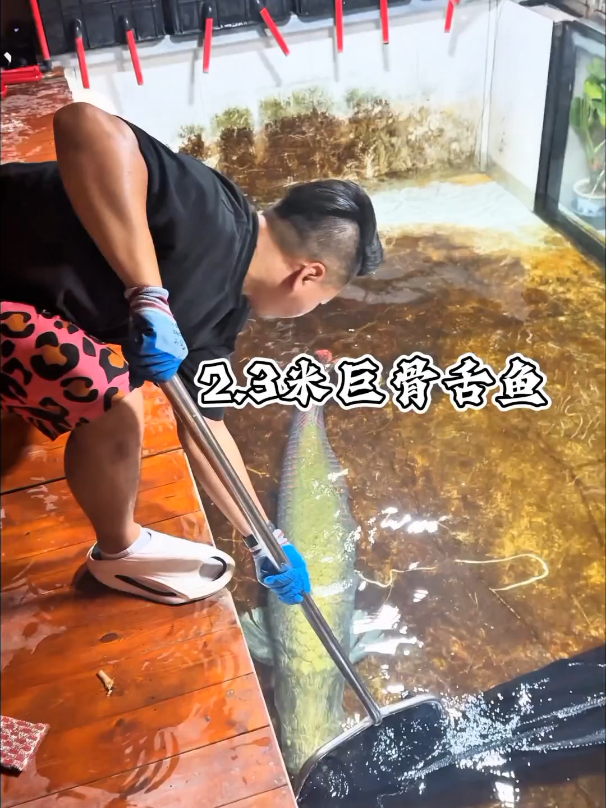 @Monsterfishkeeper