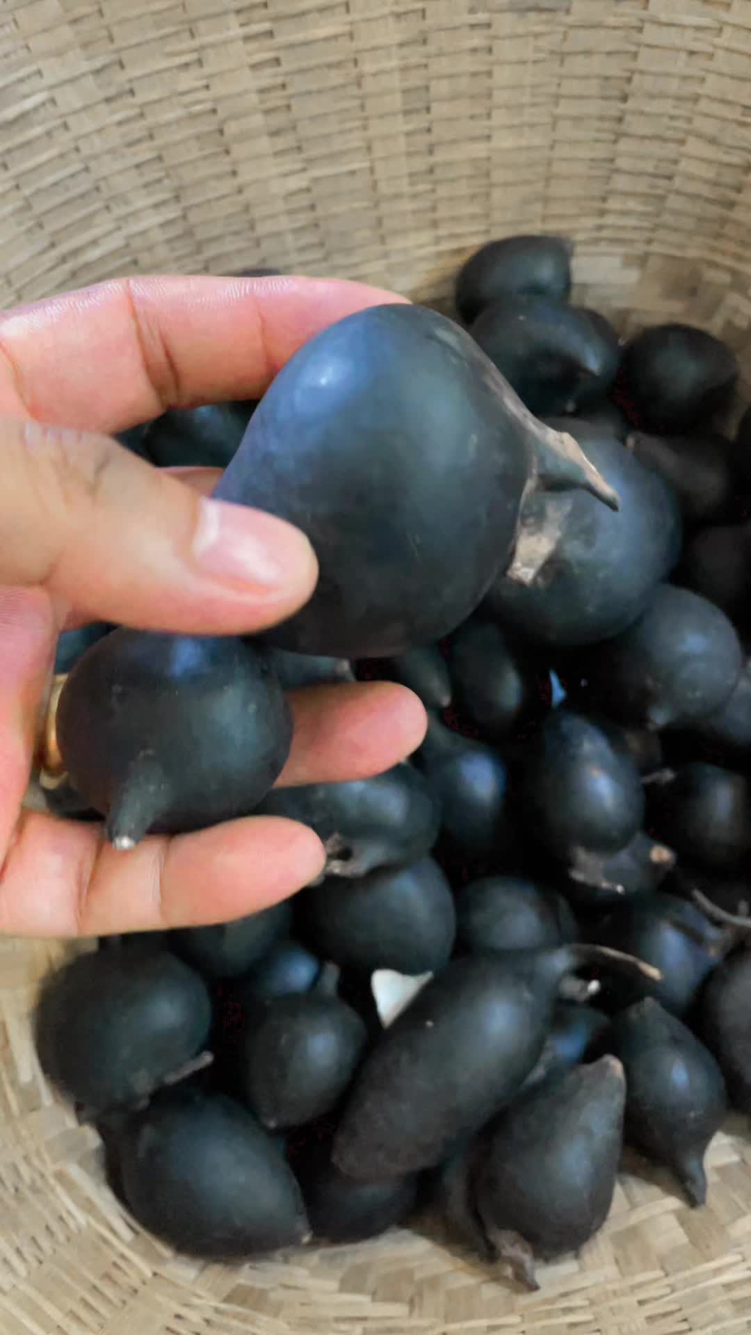 @តា បេ ស្ដេច តែសុខភាព❤️🇰🇭