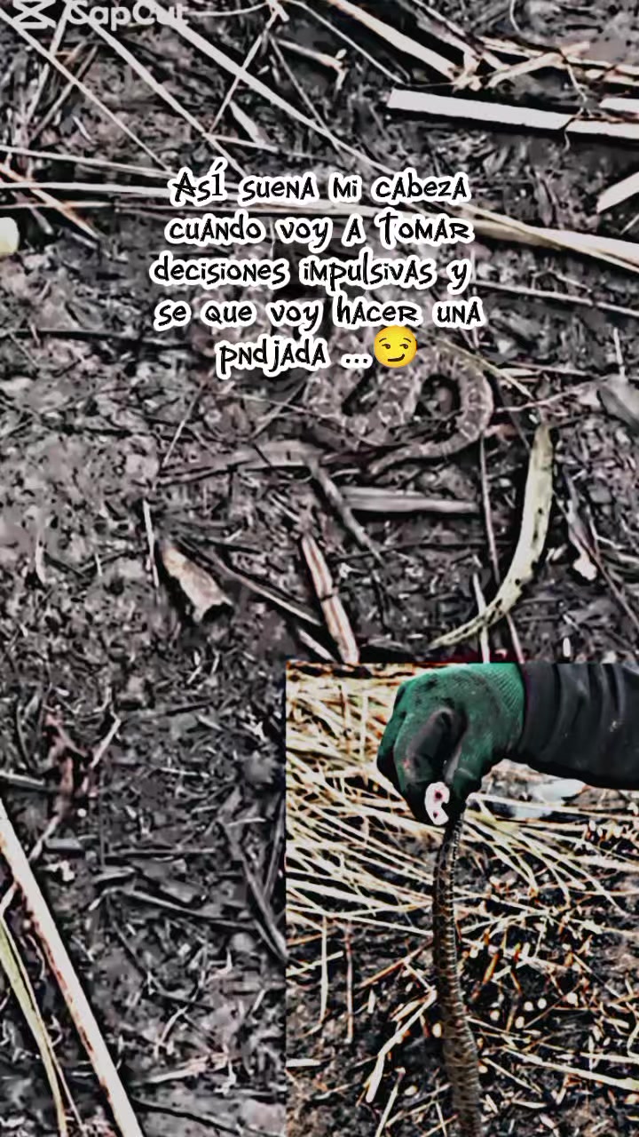 @에드윈🕳️🥷