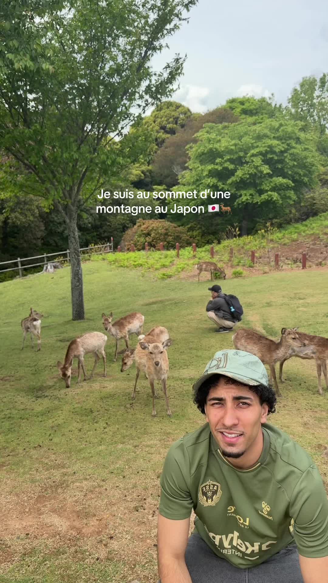 @Hamedaxmj