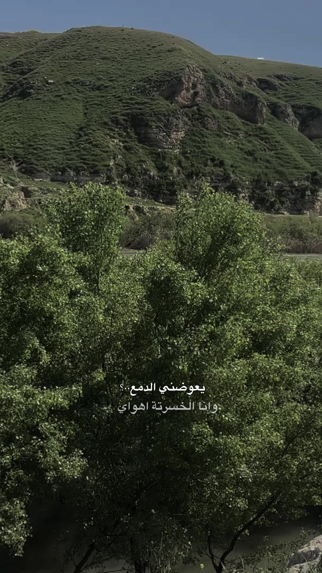 @يونس النقيب