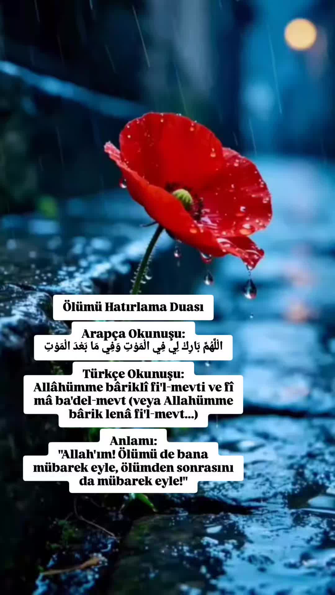 @hayat nereye gidiyor