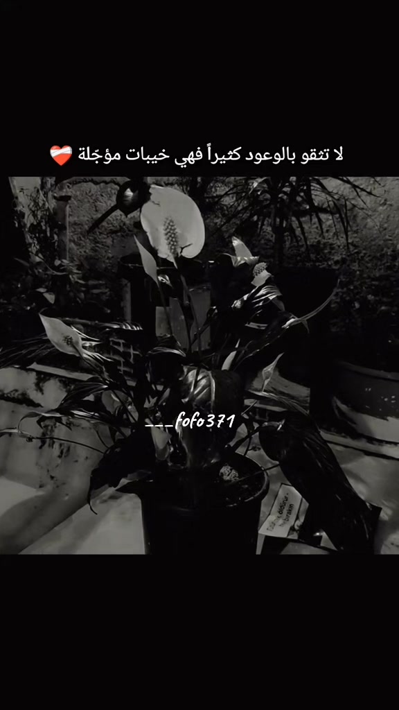@فـ❣ـہوُفـ❣ـہوُ || ℱ𝒪 ℱ𝒪🤍