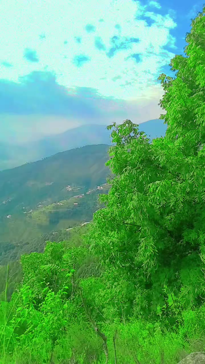 @🇵🇰Nₐ𝘴ₑₑ𝚋 𝓴ₐ𝓱ₐ𝚗🔷