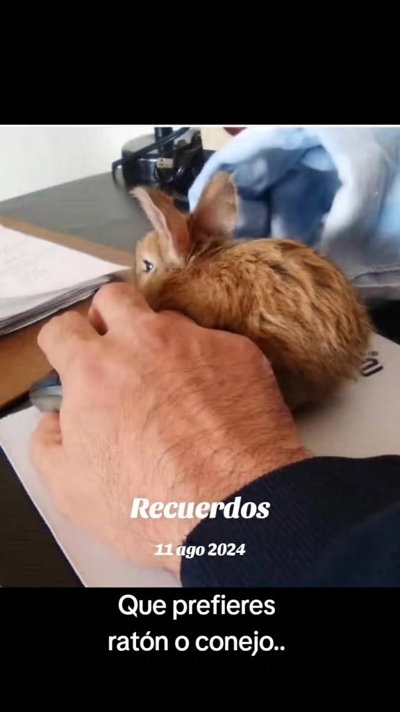 @Martín Campos