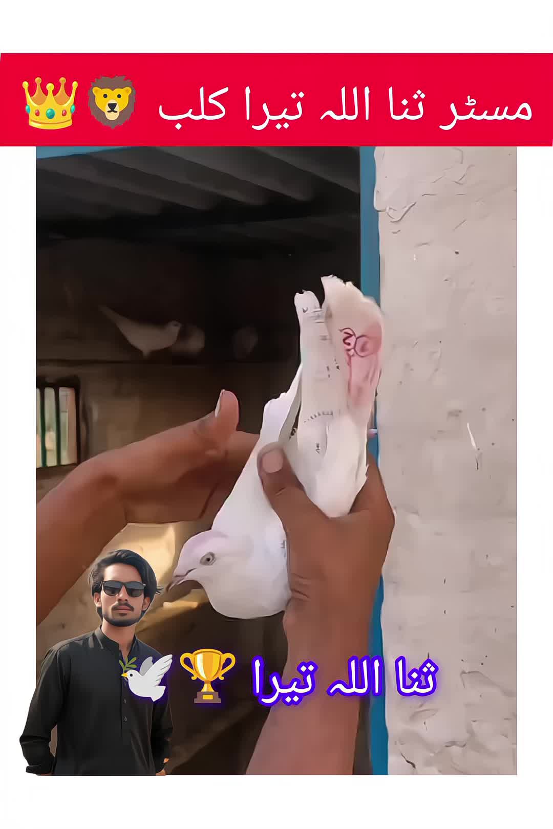 @ᴹʀ Ｓꪋⁿꪋ𝐮ไไꪋ𝚑