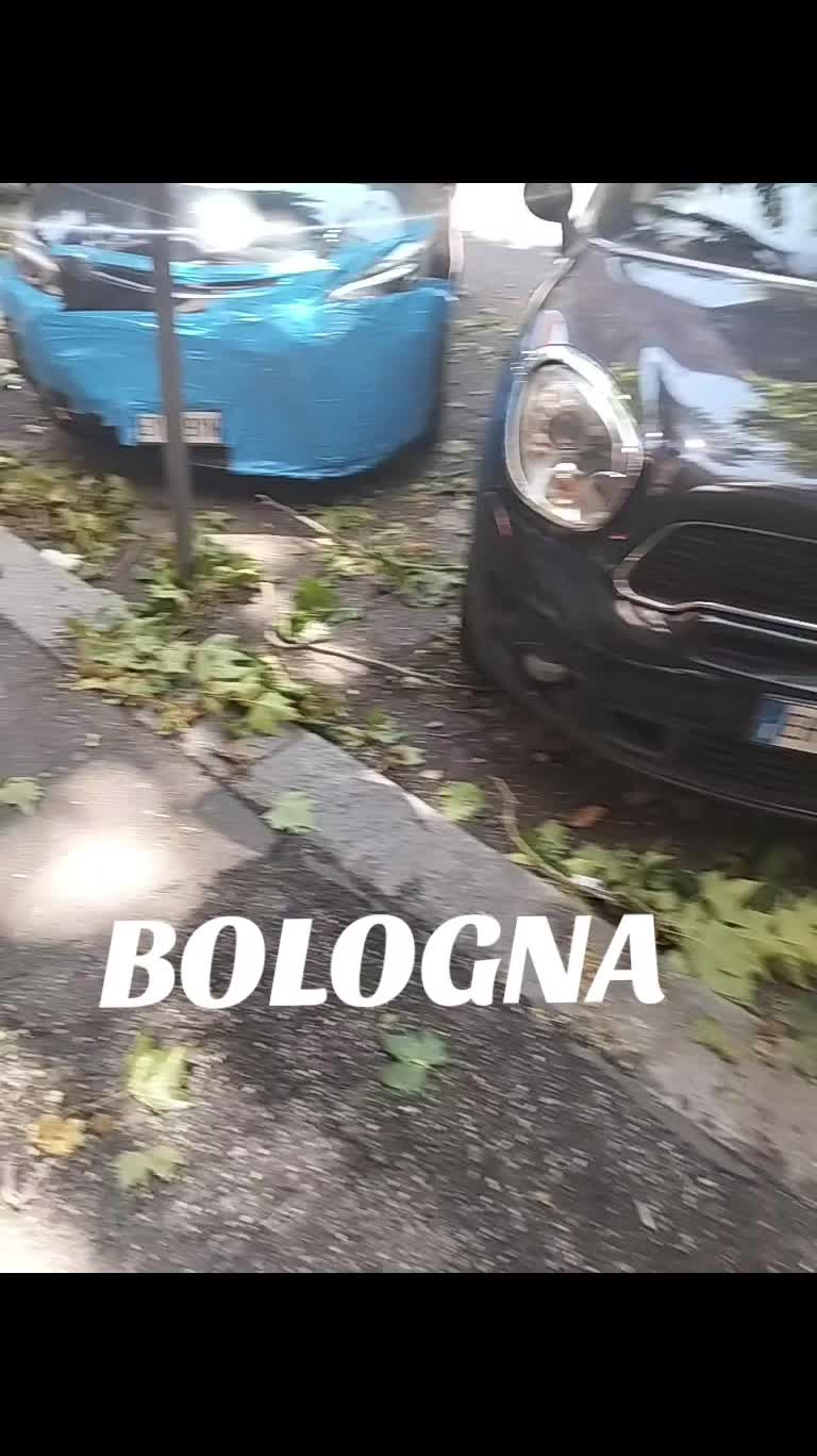 @FIGLIROVESUVIO1926