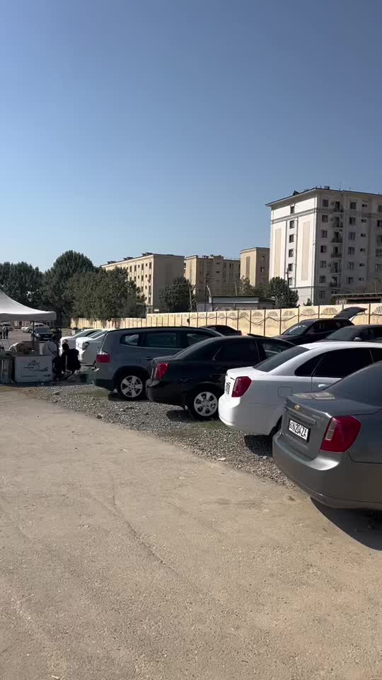 @Kayfarik7273