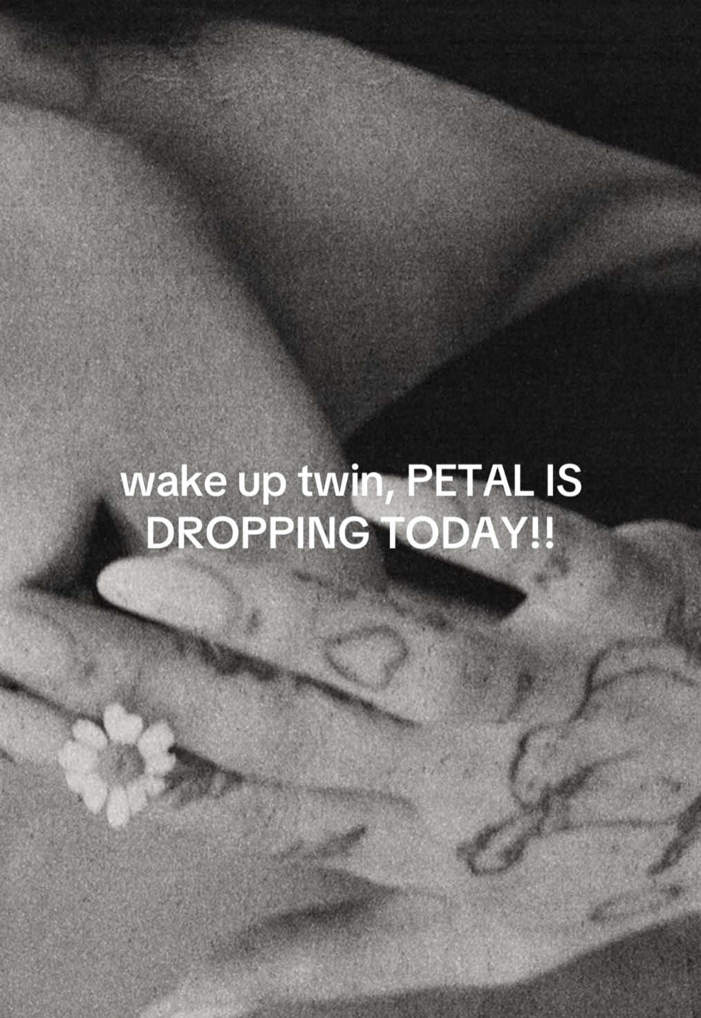 @✧𝓢𝓸𝓯_
