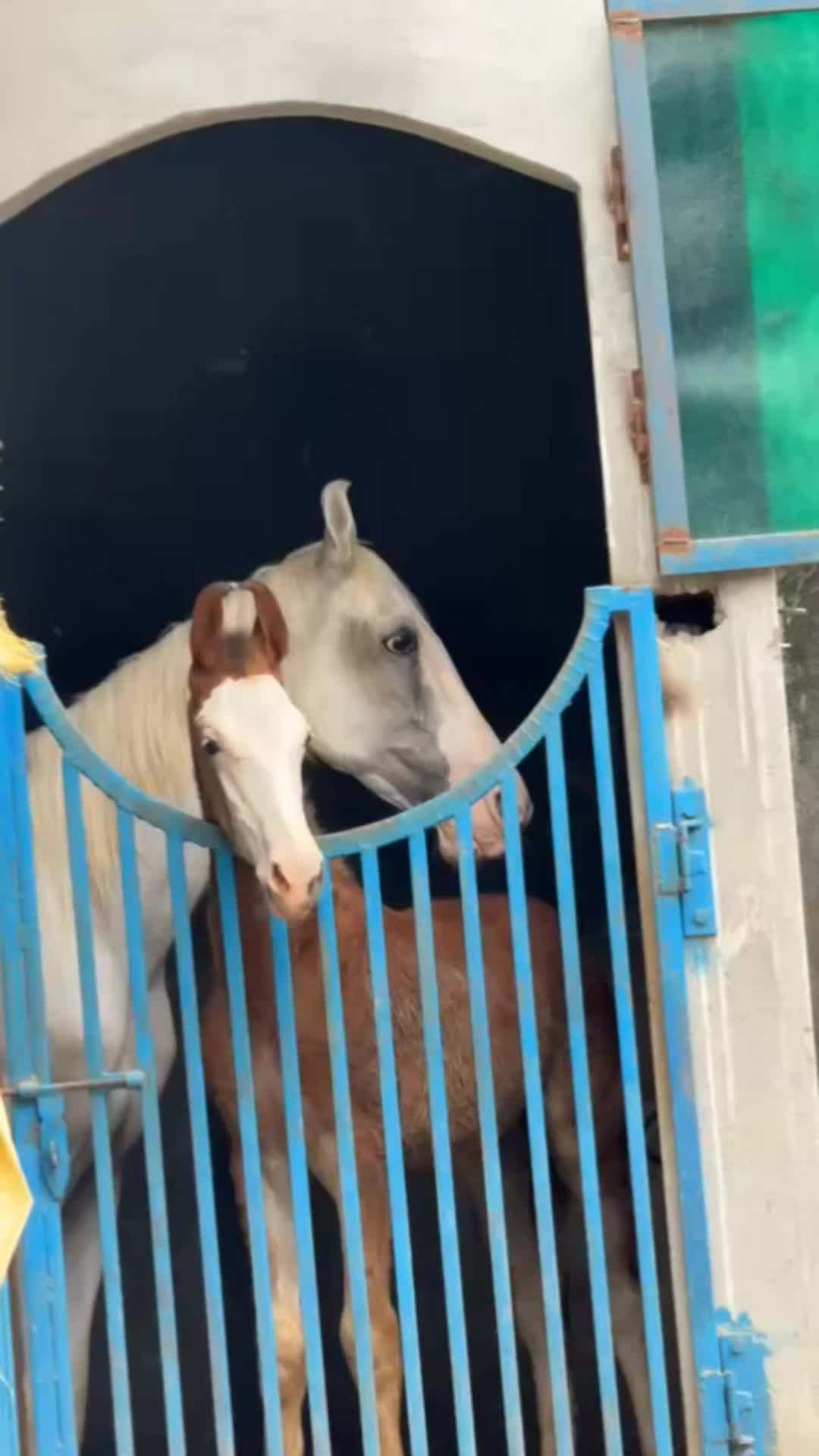@🇬🇧🇲Ꮻ𝕃₳𝗝₳𝒯₸♡🇦🇪