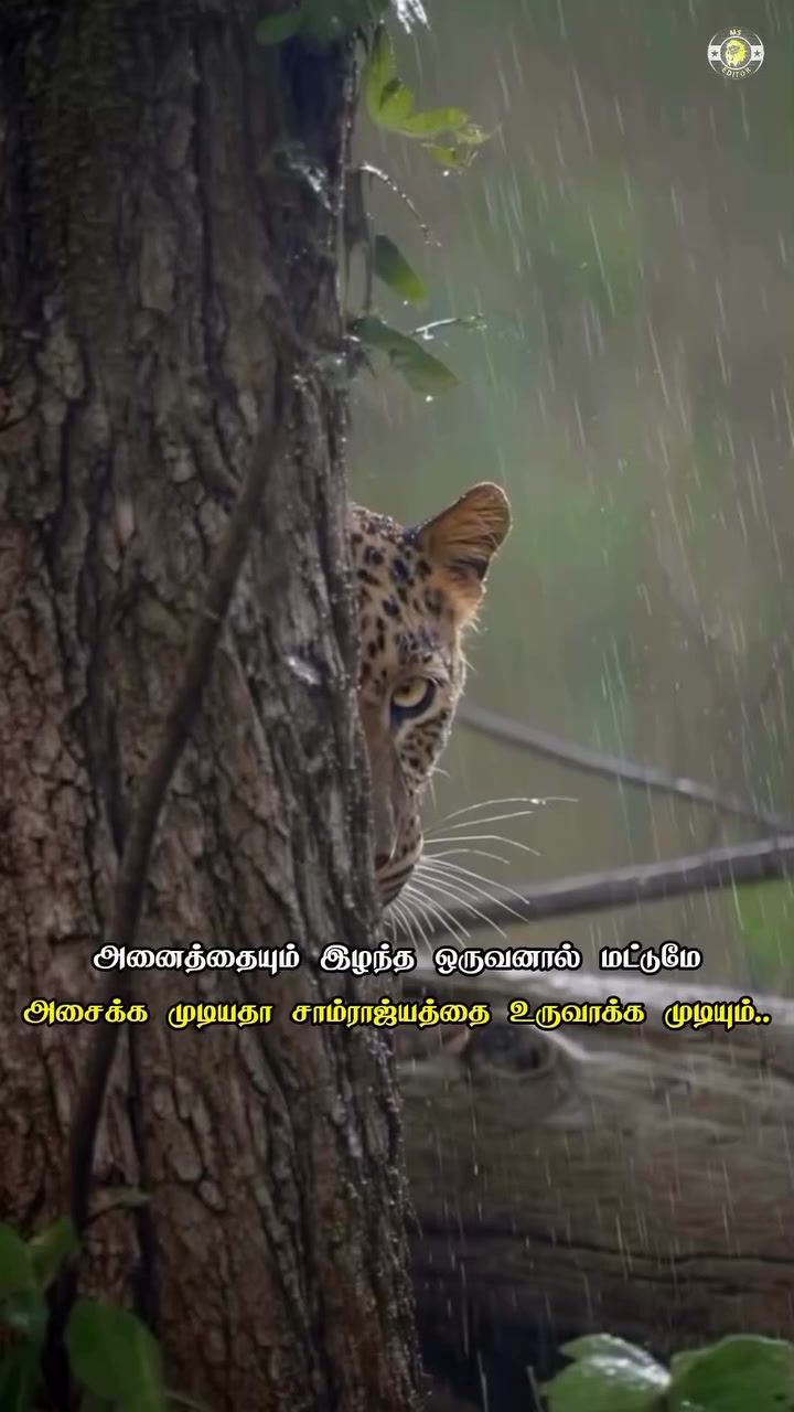 @prasanth baby 🗡🇱🇰