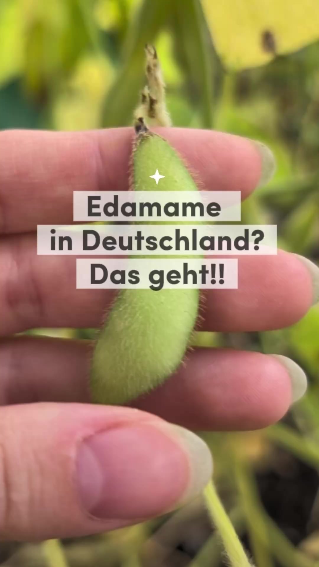 @ErnteExperte