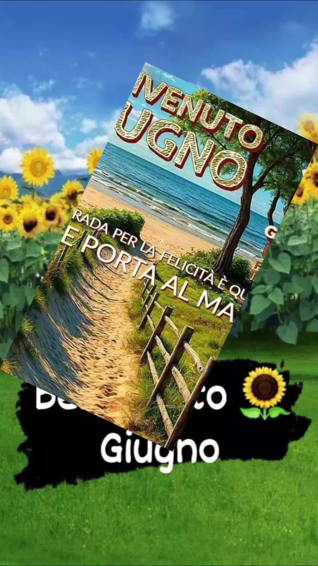 @Gionni D. M.