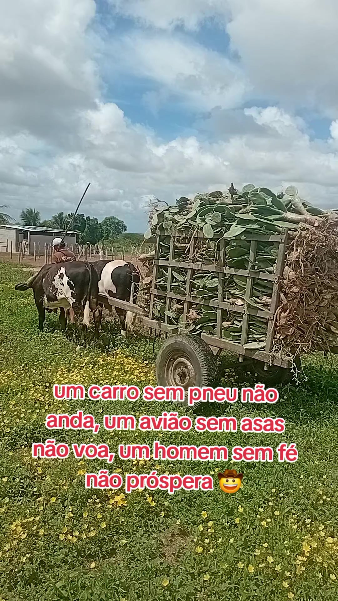 @jocriador