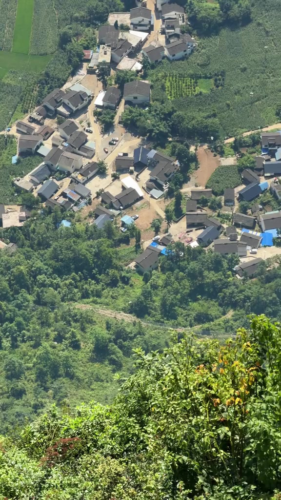 @无梦旅人🌬半口仙气