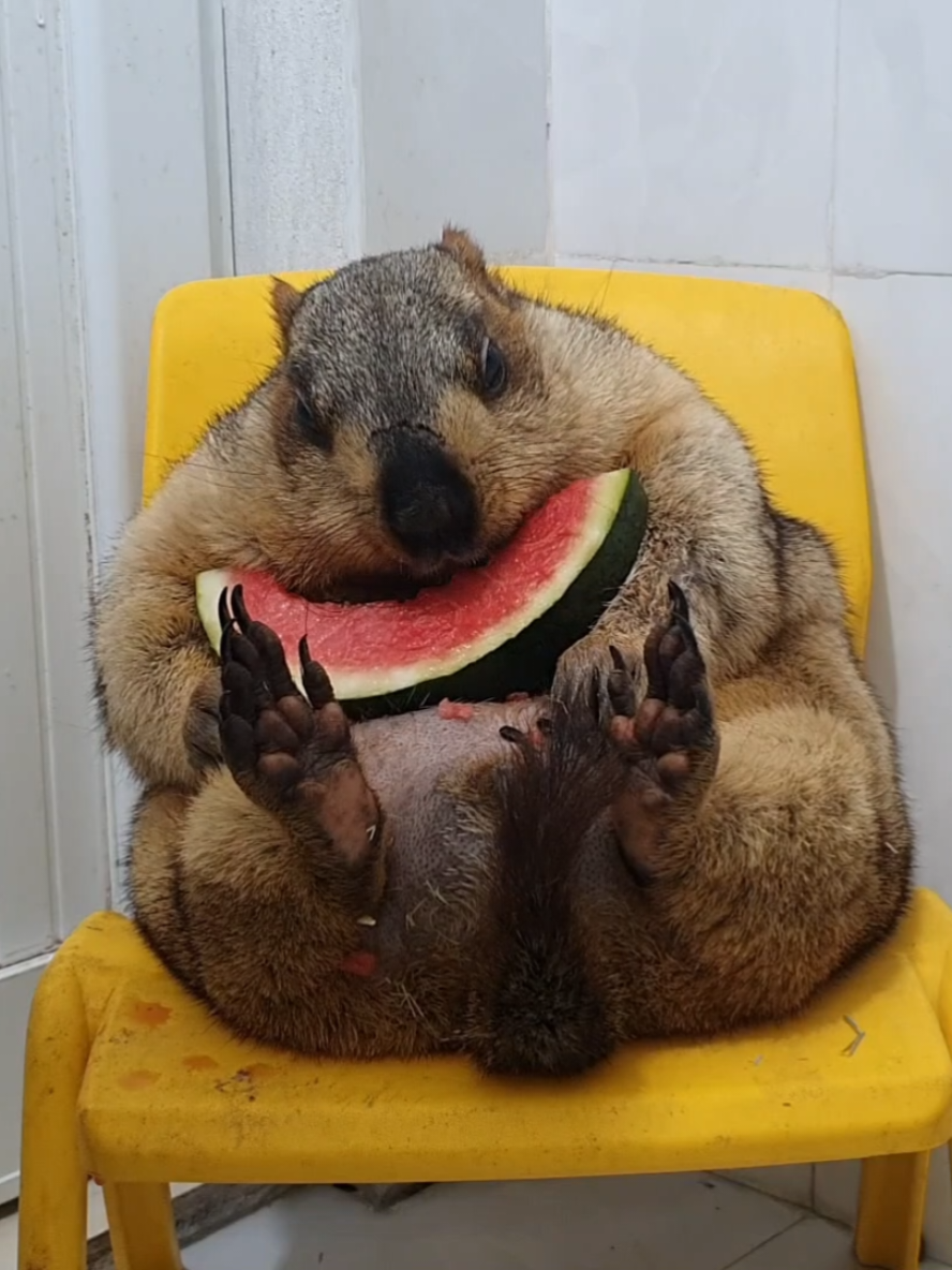 @YêuYêu
