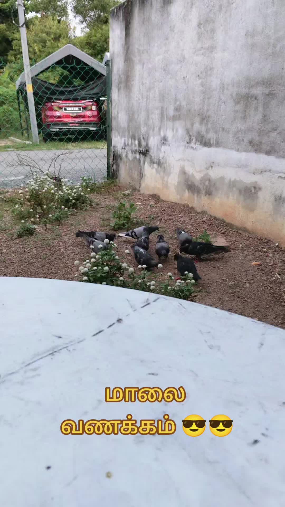 @Kpreya