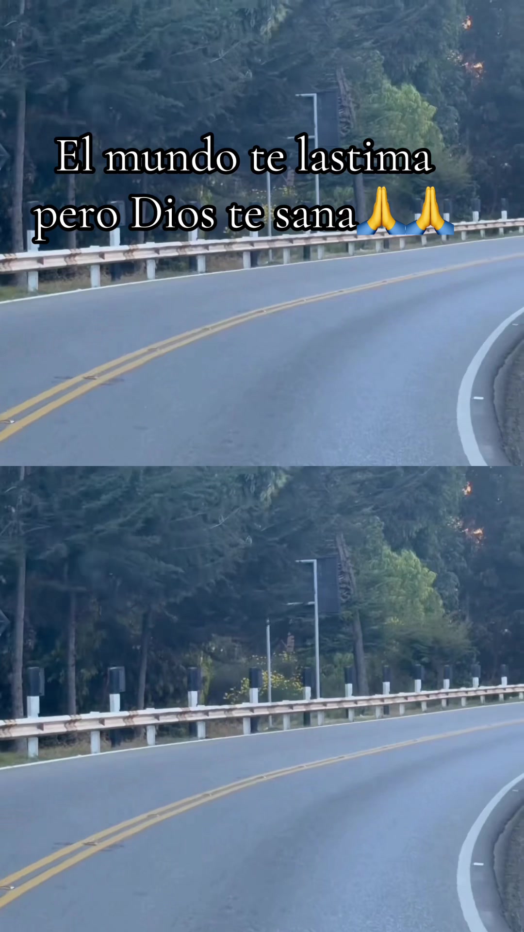 @María Ortega Pardo
