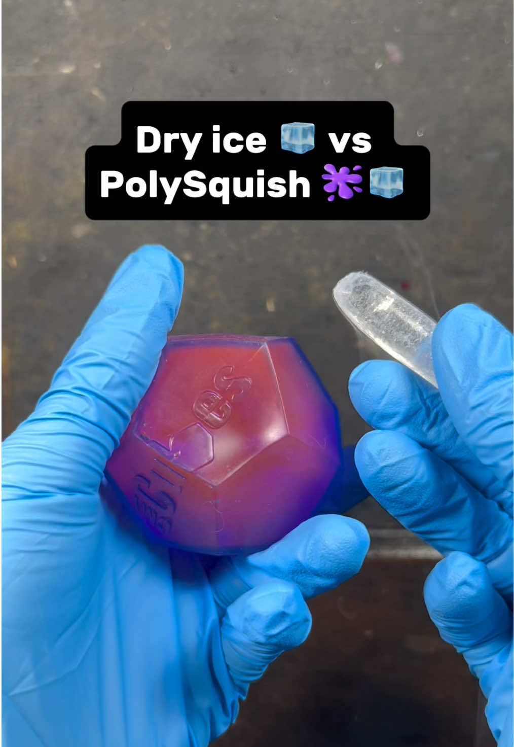 @FloridaFoxAnthillArt