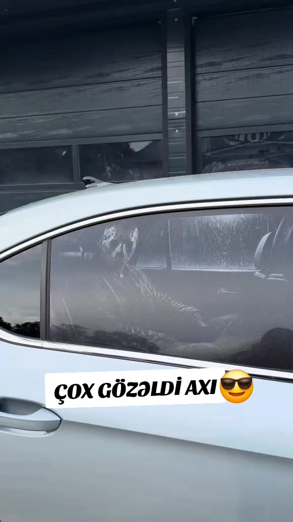 @Avtomobil_aksesuarlar