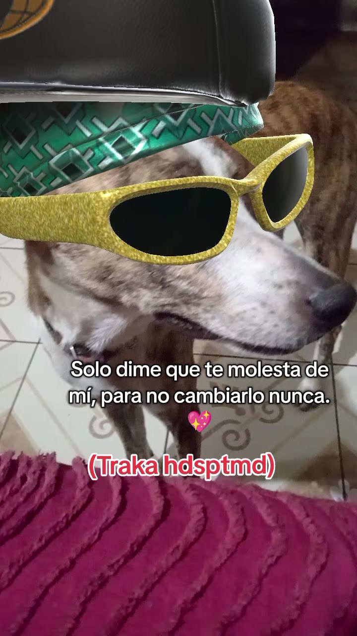 @Daily Gômez