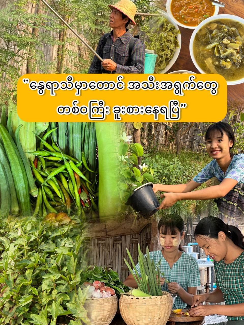 @Yar Taw Thu - ယာတောသူ